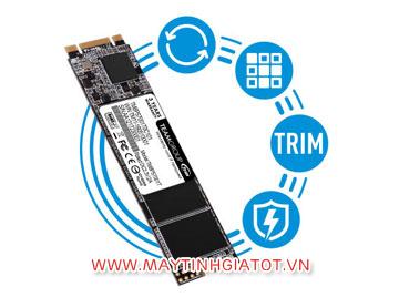 SSD Teamgroup MS30 2280 512GB M2-SATA PCIe Gen3x4